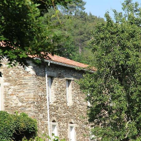 Gite Valescure Saint-Michel-de-Dèze エクステリア 写真