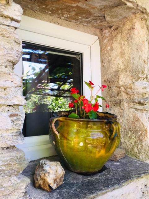 Gite Valescure Saint-Michel-de-Dèze エクステリア 写真