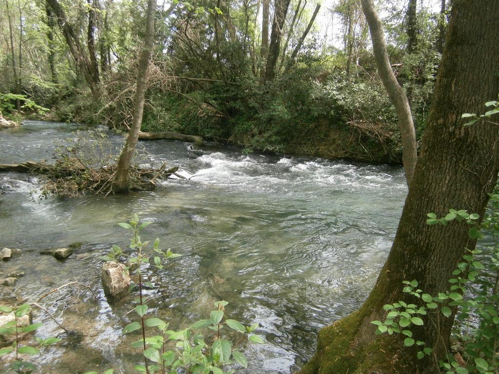 Gite Valescure Saint-Michel-de-Dèze エクステリア 写真